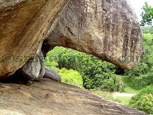 Hatthikucchi Vihara